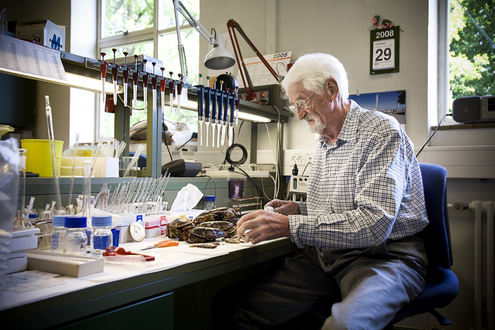 Агнера. Ученые дании. Ученые физики кыргызстана. Ученые дании. Европейские ученые.